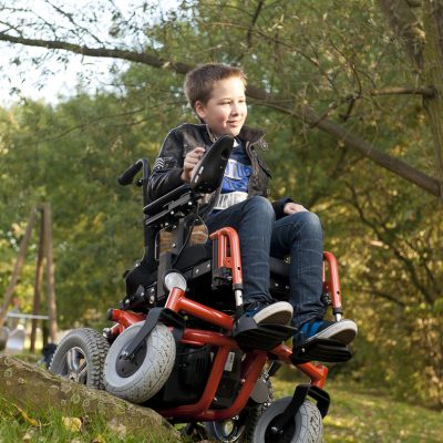 Forest Kids - forest and kid